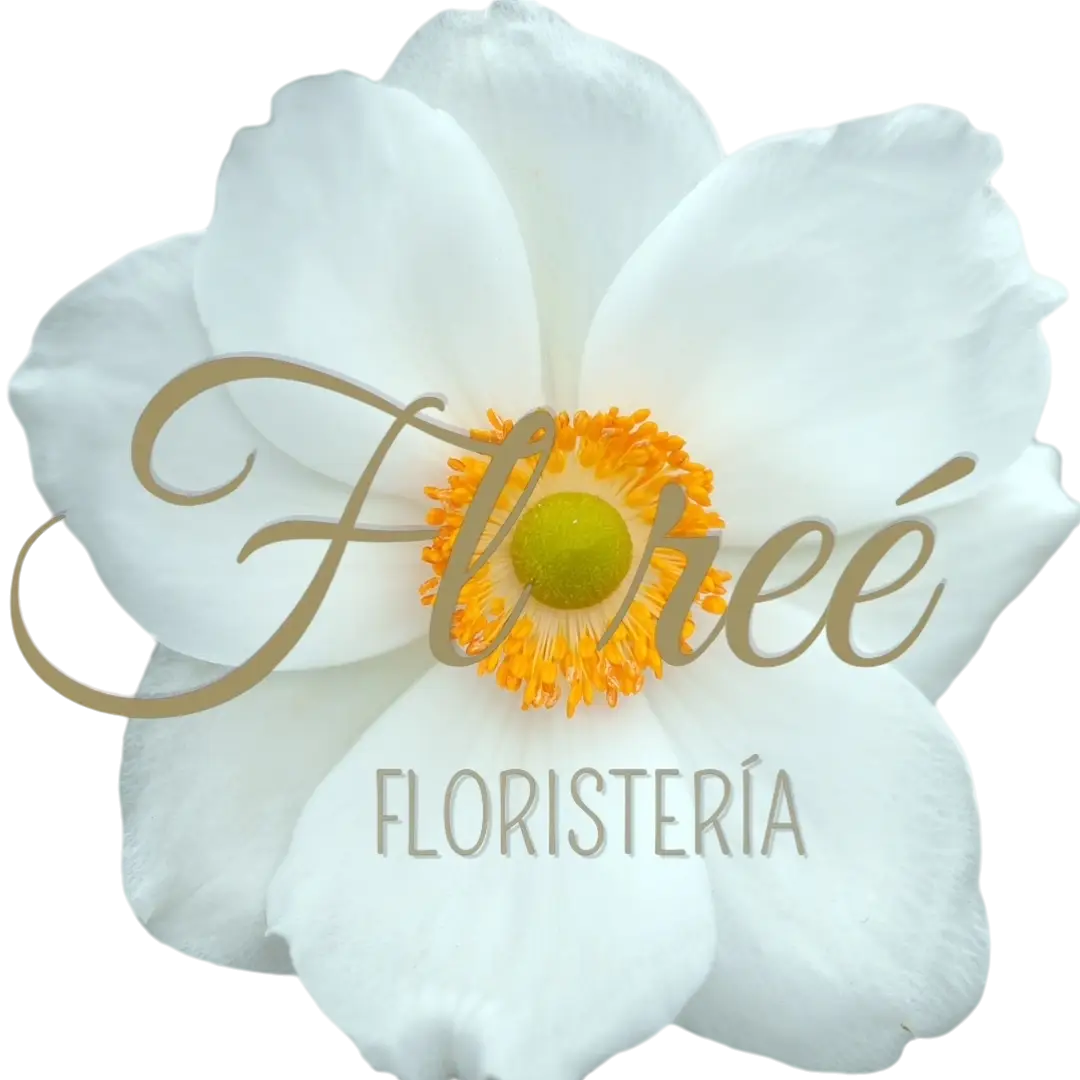 Floreé Floristería